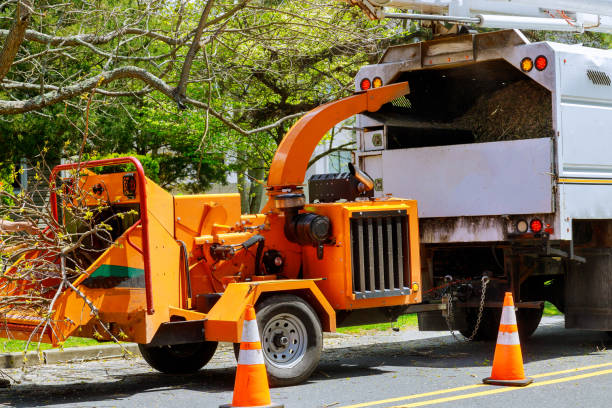 Best Tree Trimming and Pruning  in Westchester, IL